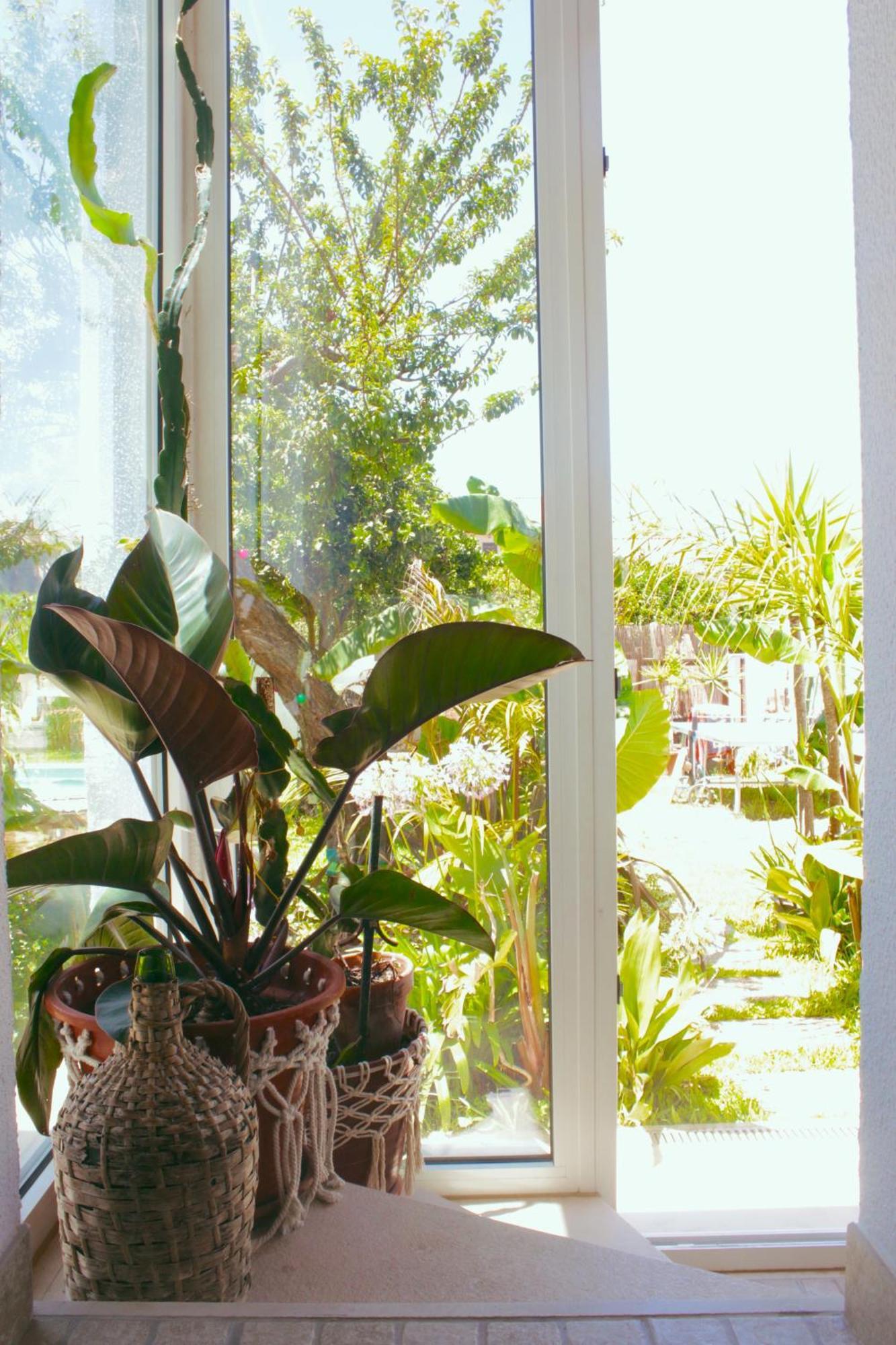 Vila Vale Guest House - Surf & Yoga Charneca  Luaran gambar