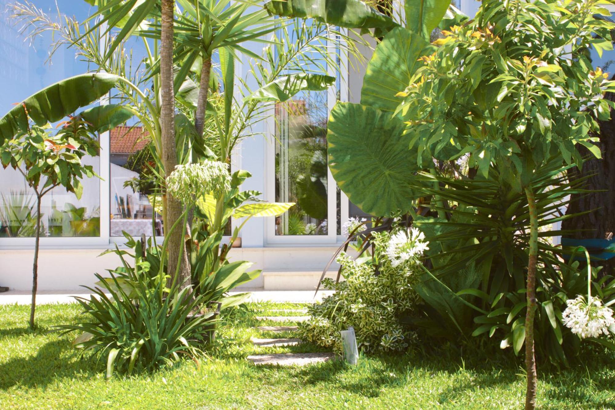 Vila Vale Guest House - Surf & Yoga Charneca  Luaran gambar